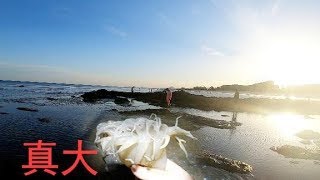 天热好赶海拾贝！山东渔村大哥赶海练就“火眼金睛”，一看一个准