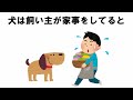 犬と飼い主との愛情表現の雑学