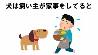 犬と飼い主との愛情表現の雑学