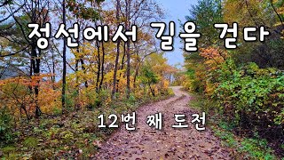 정선 / 아우라지 트레일 / 50km / 12번 째 도전 / 4k