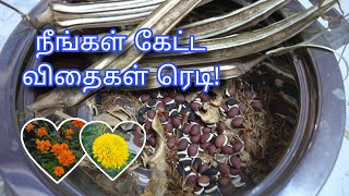 விதைகள் எல்லாம் உங்களுக்காக | Vegetable seeds | Flower seeds | Terrace Garden | Gardening