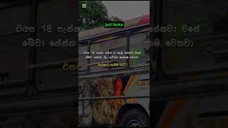 මෙහෙම හිතන් ඉන්න කට්ටිය comennt එකක් දාගෙන යන්න #busstudio #youtube #srilanka #dhamrajini #trending