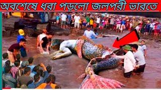 জলপরী কি সত্যি আমাদের পৃথিবীতে আছে?Do we really have mermaids on earth?@ধোঁয়াশা টিউব