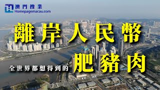 【橫琴睇真D EP1】橫琴又有新政策｜全世界都想得到的肥豬肉｜橫琴租賃市場前景｜橫琴粵澳深度合作區建設總體方案｜跨境人民幣結算市場及離岸人民幣量有多大 ｜一線放開二線管住下的可能性｜橫琴｜澳門搜業