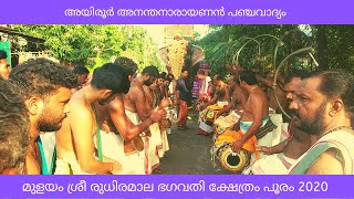 Samikutty Panchavadyam | അയിരൂർ അനന്തനാരായണൻ - തിരുവില്വാമല രാജൻ പഞ്ചവാദ്യം | മുളയം പൂരം 2020