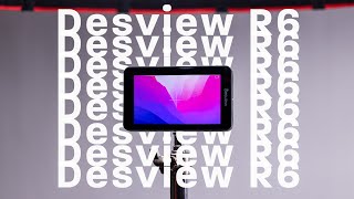 Desview R6 review