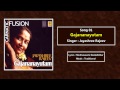 gajananayutam a song from the album gajananayutam jayashree rajeev