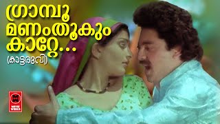 Grampoo Manamthookum Katte - Kattaruvi(1983) | P Jayachandran | P Madhuri | AP Gopalan | G Devarajan