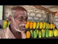 யாழ் புத்தூர் பழக்கடை jaffna puttur grocery store valvai sulax