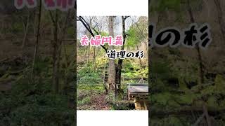 【貴船神社】京都最強の恋愛・縁結びのパワースポット神社はココだ！#shorts