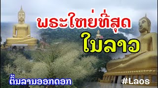 Laos : ພະພຸດທະຮູບໃຫຍ່ທີ່ສຸດໃນລາວ | พระพุทธรูปใหญ่ที่สุดในลาว .