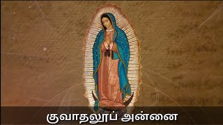 மே 25 - குவாதலூப் அன்னை | Our Lady of Guadalupe| Mexico