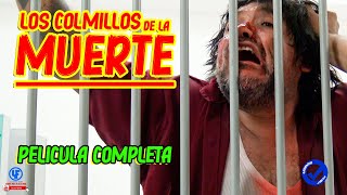  Los Colmillos de la Muerte: La Suerte del Rey  Película Mexicana