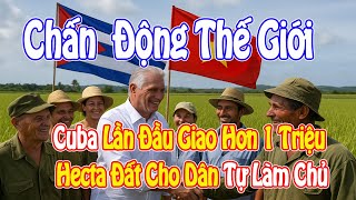 Chấn Động Thế Giới! Cuba Lần Đầu Giao Hơn 1 Triệu Hecta Đất Cho Dân Tự Làm Chủ!