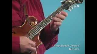 Red Haired Boy Mandolin Solo by Brad Laird