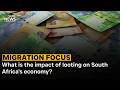 Discussion | Migration Focus : What is the impact of looting on South Africa's economy?