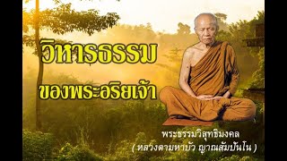 วิหารธรรมของพระอริยเจ้า I พระธรรมเทศนา หลวงตามหาบัว ญาณสัมปันโน I ฟังธรรมะสอนใจ ธรรมะก่อนนอน