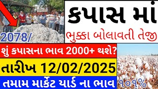 Kapas na bhav | 12-02-2025 | કપાસના ભાવ:2025 | Information about Cotton Crop Price | Commodity