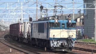 ＥＦ６４形１０００番台（国鉄色）貨物列車清洲駅通過シーン