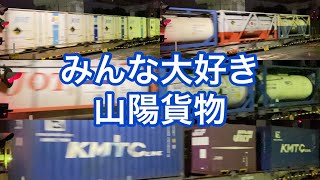 2021.6.25 みんな大好き5052レ　海コン2個、タンコ多数積載