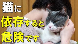 猫に依存しすぎるとどうなる？猫依存症のリスクと猫に与える影響を解説！愛猫への依存度チェック【保護猫】