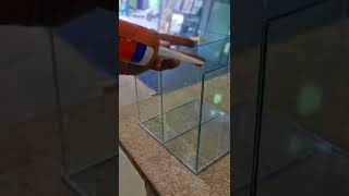 Making glass box using Silicon...