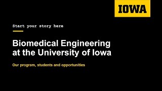 Biomedical Engineering at the University of Iowa