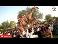 Download Dj WALA Gano laga bhabhi ko In Mp4 3Gp Full HD Video