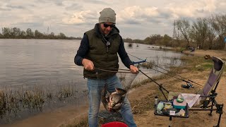 Feeder fishing on Narew river near the Warsaw city! Good roachуы  and bream catch!