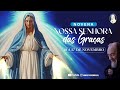 8º dia  Novena Milagrosa 2024