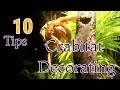 Top 10 Crabitat Decorating Ideas