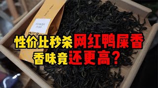 茶圈不为人知的良心茶，性价比秒杀这款网红茶，香味居然还更高？