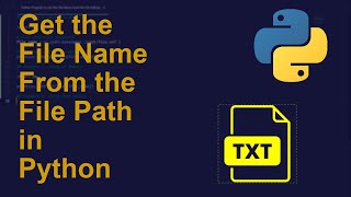 Get the File Name From the File Path in Python | Python Examples | Python Coding Tutorial