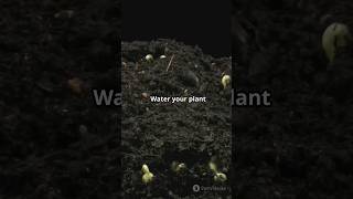 How to Use Worm Castings to Supercharge Indoor Plant Soil