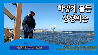 [포항 해파랑길 14코스] Ep.14 하얗게 물든 상생의손ㅣ구룡포항~호미곶등대ㅣ부산에서 강원도 고성 통일전망대까지 770km의 대장정