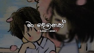 ලා දලු මල් පෙති පවා ( මා දෙනෙත් ) slowrd + revab 🤍