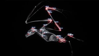 DONT BLINK - DANCE MORE