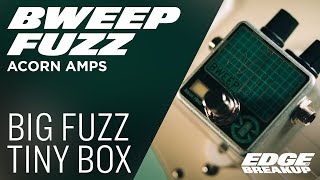 Big Fuzz Tiny Box // Acorn Amps Bweep Fuzz // Guitar Pedal Demo