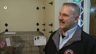 Murray Co Sheriff's Office investigating after Facebook video shows man shooting dog