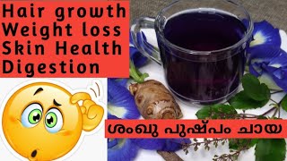 ശംഖുപുഷ്പം ചായ| Blue Pea Tea recipe in malayalam| Butterfly Pea| RG's Platter| Sress കുറക്കാൻ ചായ|