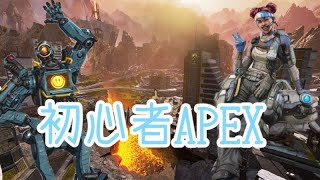 初心者のApex #7