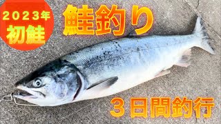 【鮭釣り】2023年度鮭釣り開始、３日間で最終日に執念の一本