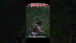 縛り中に公式パートナー\u0026プロゲーマーと接敵w 【夜game】#shorts #PUBGモバイル