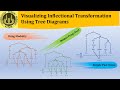 Analyzing inflectional transformation by using tree diagrams