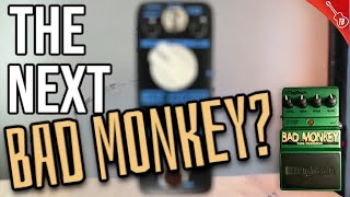 Next BAD MONKEY? This $35 Tube Screamer Copy Is GOOD