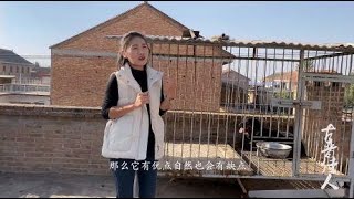 你还不知道罗威纳犬有多好？山西养狗女孩为你详细剖析罗威纳犬