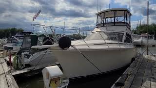 PACEMAKER 37 CONVERTIBLE, 1991, WALK AROUND, FRESHWATER BOAT, ONLY 1011 HRS, VERY CLEAN!