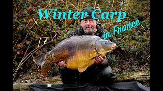 Winter Carp in France