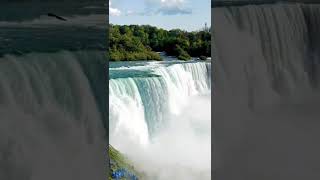 American Beauty and Niagara roar🌊 #waterfalls #nature #shorts #trending #niagarafalls #usa ||11