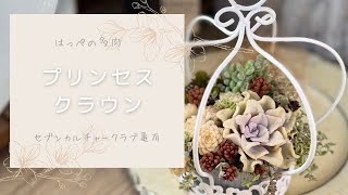 【プリンセスクラウン】多肉植物寄せ植え　セブンカルチャークラブ亀有